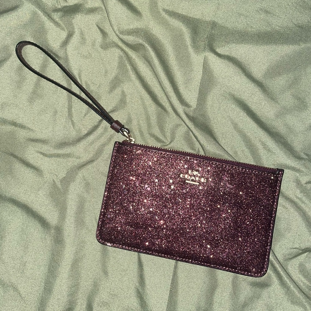 Beautiful shimmery Coach wristlet - Picture 1 of 4